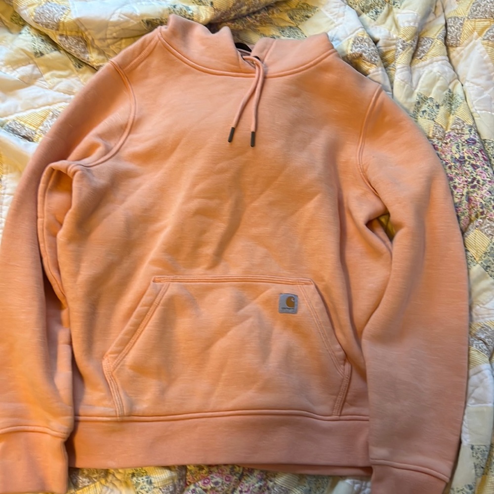 Size L Carhartt hoodie, fits like a medium! Lightly worn